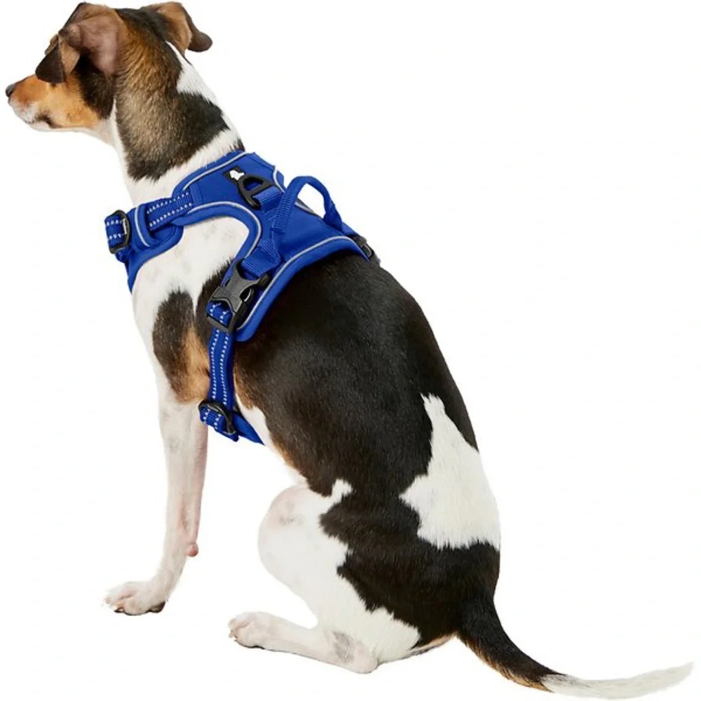 TrueLove -Pet Dog Harness